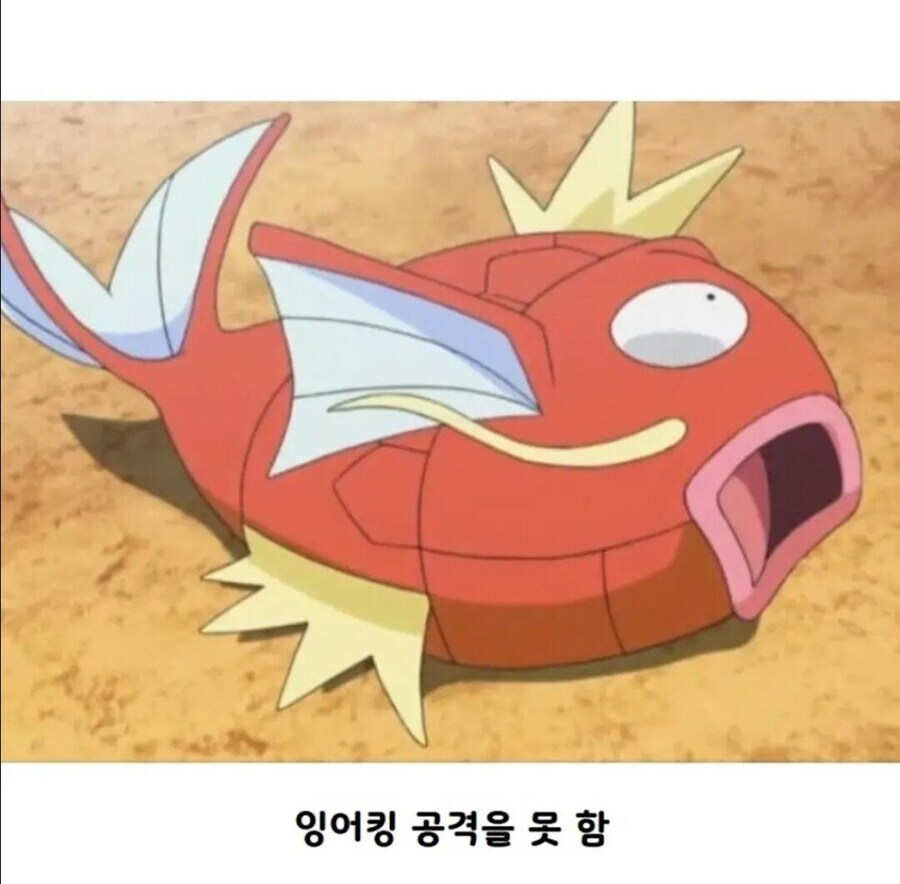 포켓몬스터 애니 역사상 레전드 대결_3.png