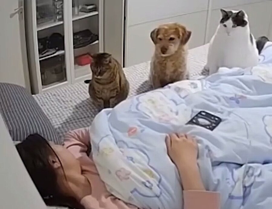 급식기가 작동 안 했을 때 급식기 바라보는 모습...._1.jpg