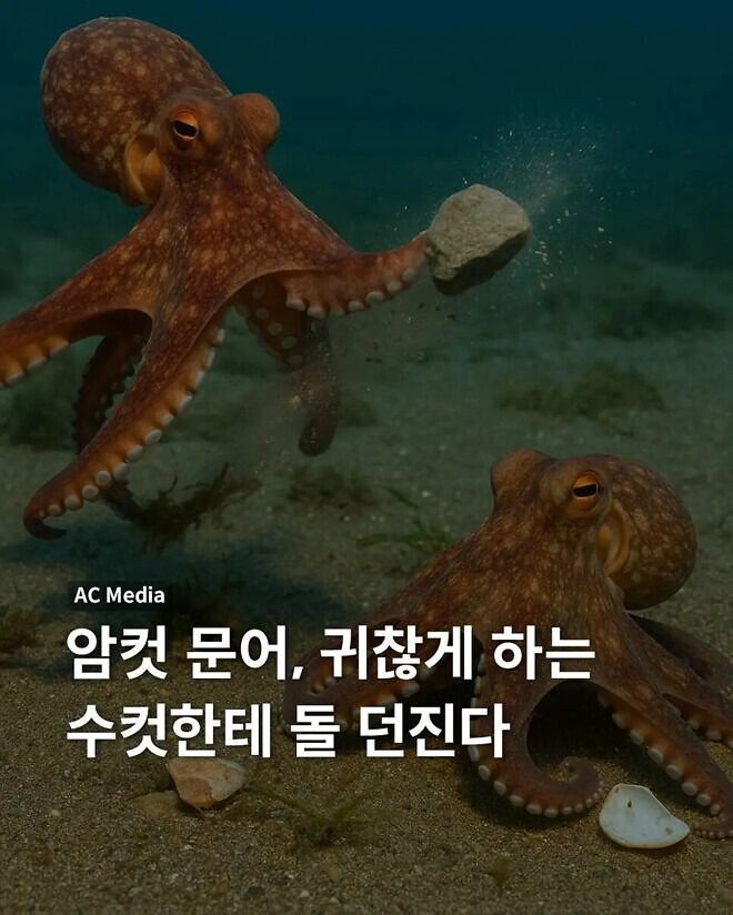 감정표현이 확실한 생물_1.jpg