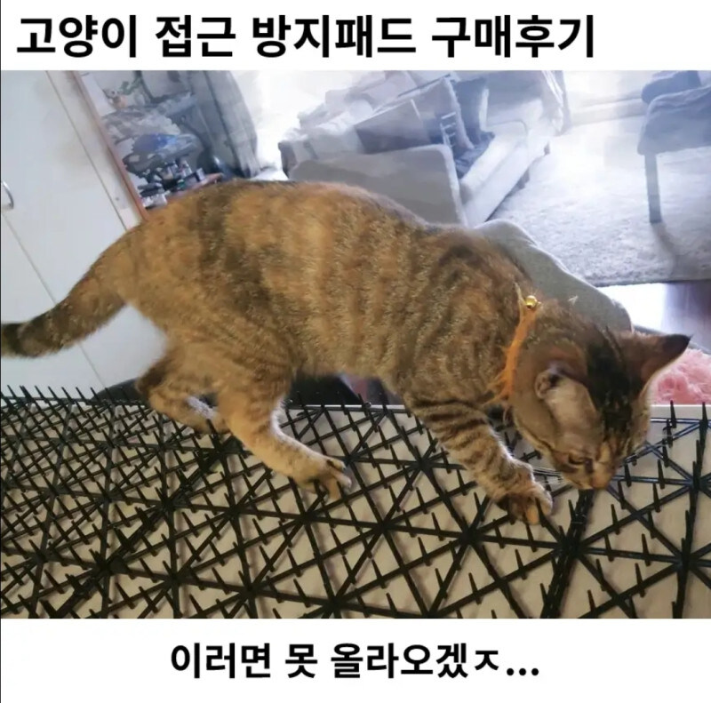 고양이 접근 방지패드 구매후기_1.jpg