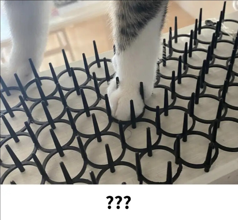 고양이 접근 방지패드 구매후기_2.jpg