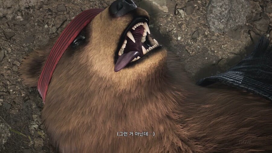 철권) 결국 쿠마도 미시마 가문이었다는 증거_11.png