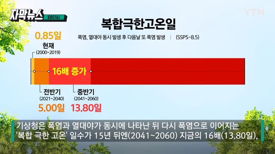 55년뒤 계절 절반이 여름_4.jpg
