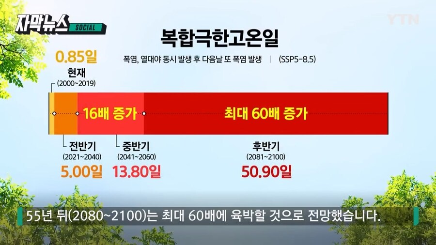 55년뒤 계절 절반이 여름_5.jpg