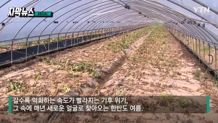 55년뒤 계절 절반이 여름_7.jpg