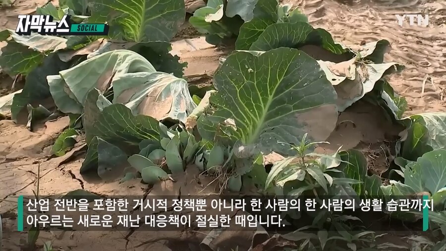 55년뒤 계절 절반이 여름_8.jpg