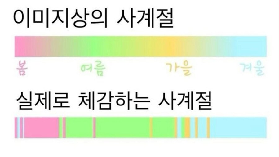 이미지상 VS 실제 체감 4계절.jpg_1.jpg