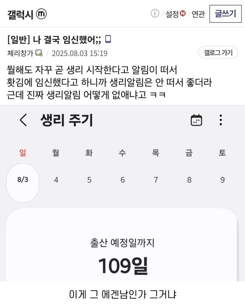 디시에 등장한 진짜 에겐남_2.jpg