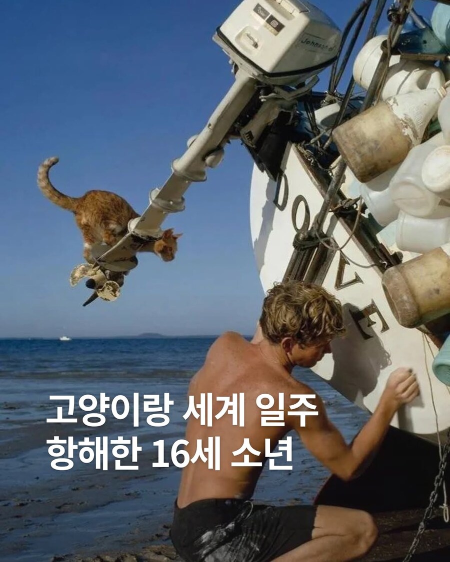 고양이랑 세계일주 항해한 16세 소년..._1.jpg