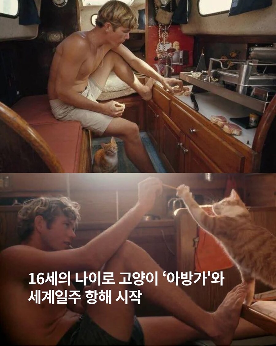 고양이랑 세계일주 항해한 16세 소년..._2.jpg
