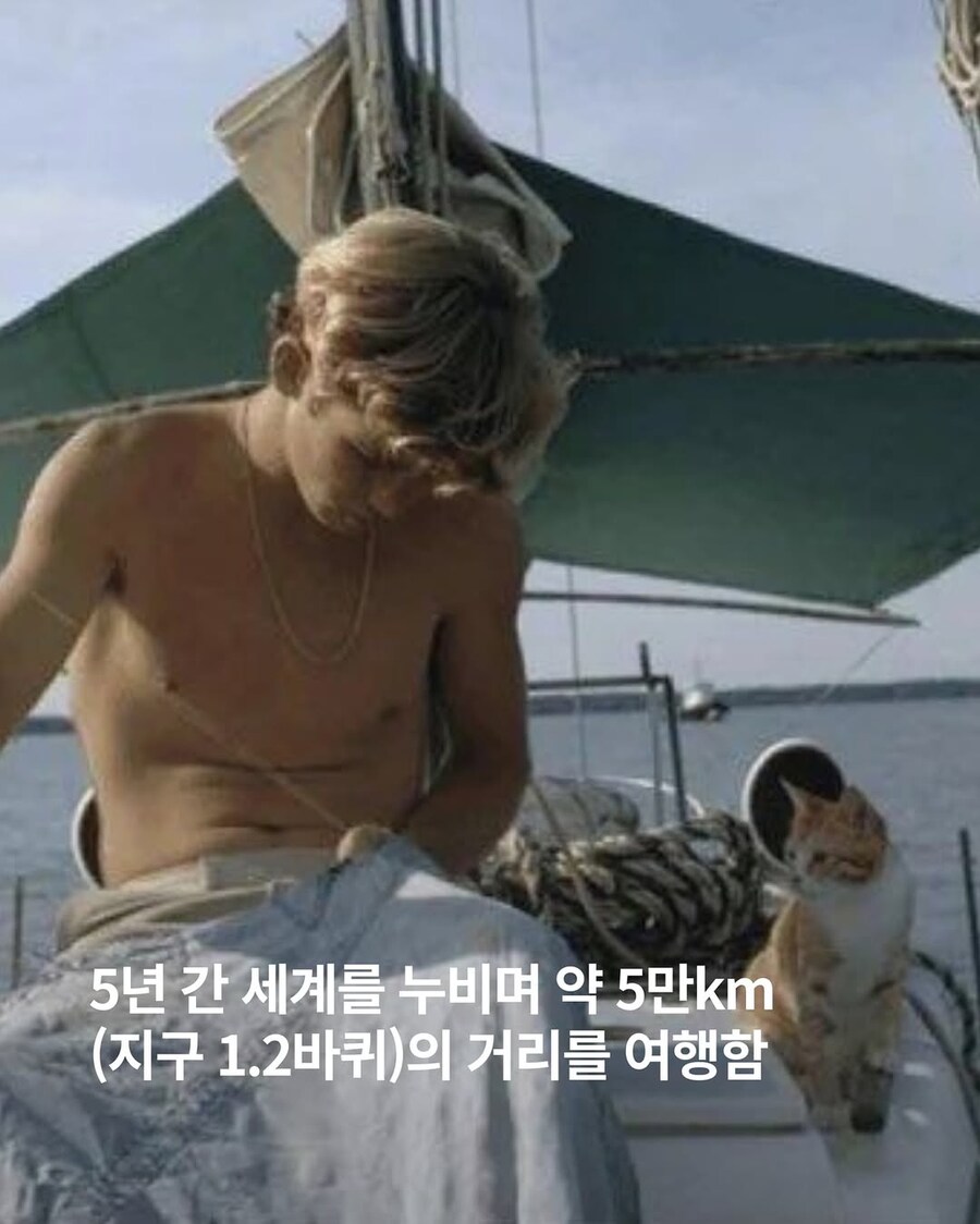 고양이랑 세계일주 항해한 16세 소년..._4.jpg