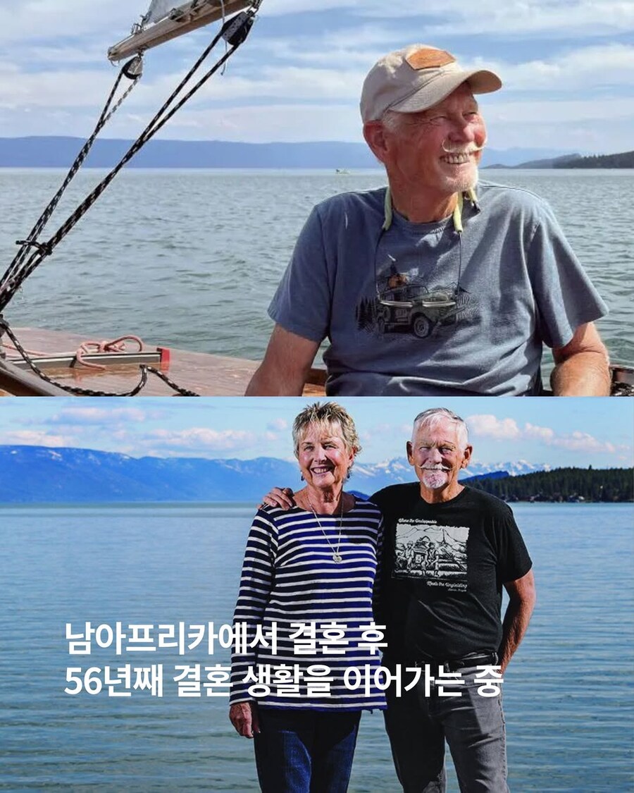 고양이랑 세계일주 항해한 16세 소년..._7.jpg