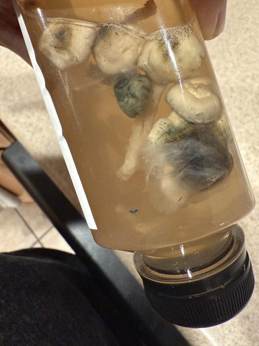저주받은 이미지 10장_8.jpg