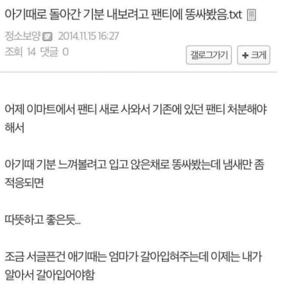 아기때로 돌아간 기분 내보려고 팬티에 똥싸봤음.jpg_1.jpg