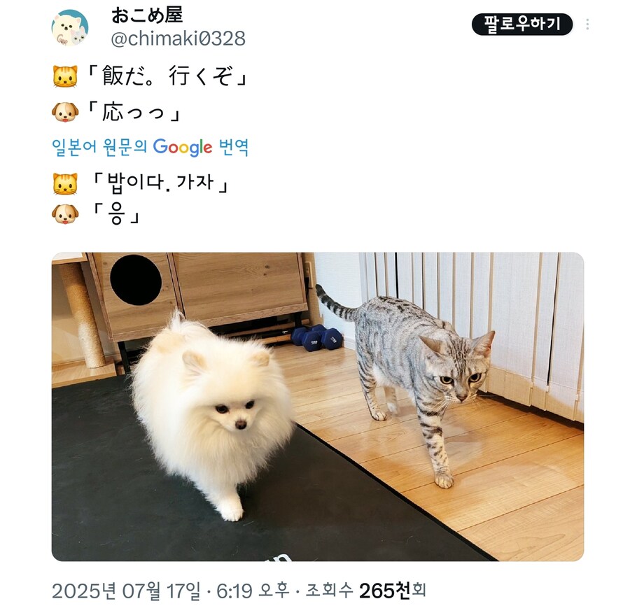 밥시간이군 이쿠죠.jpg_1.jpg