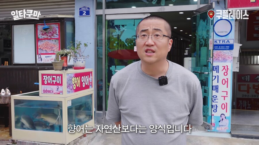 자연산보다 양식이 더 좋다는 생선_1.png