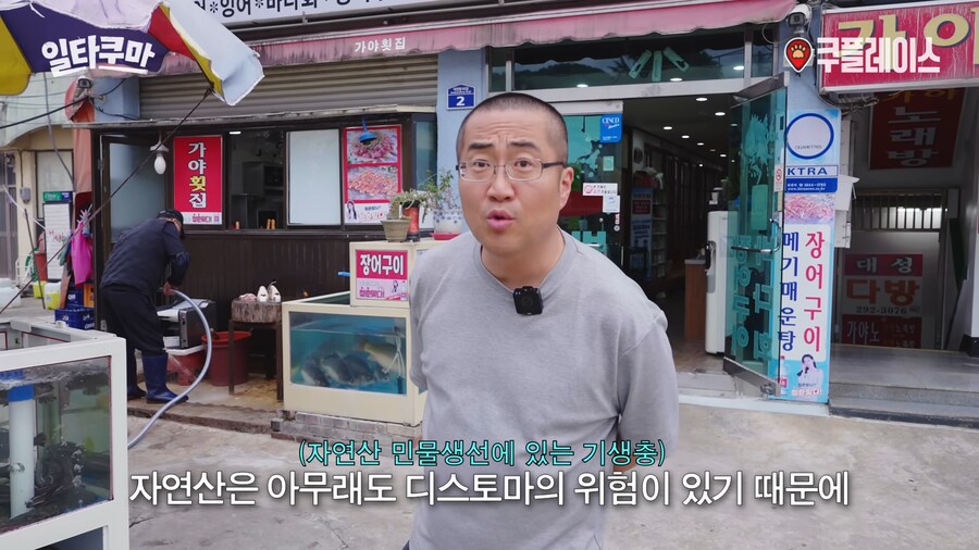 자연산보다 양식이 더 좋다는 생선_2.png