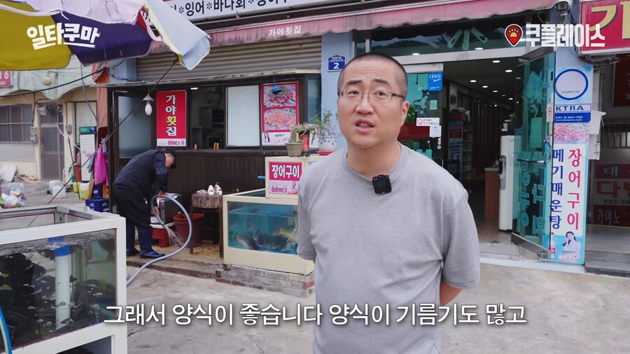 자연산보다 양식이 더 좋다는 생선_3.png
