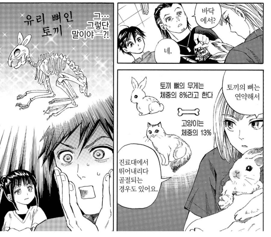 수의사들을 공포에 떨게 만드는 애완동물_5.png