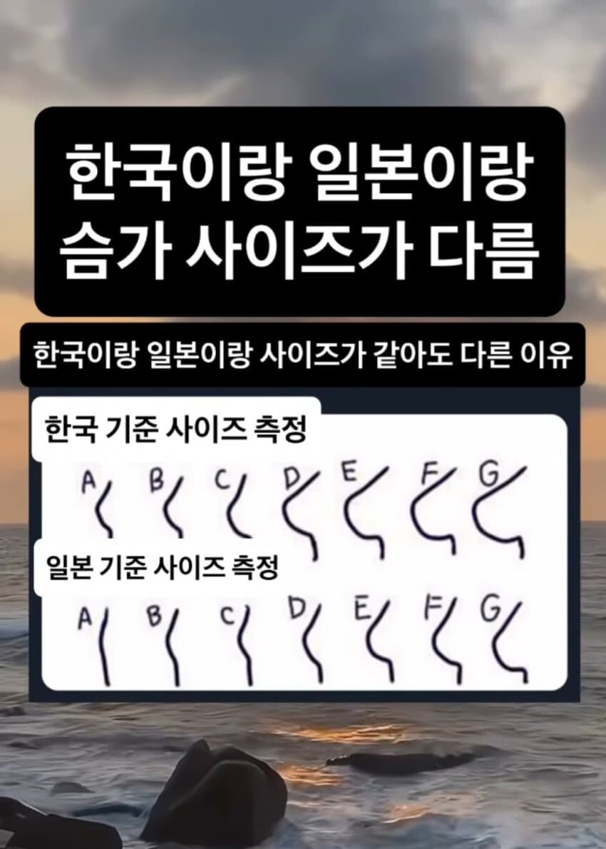 코리안 쮸쮸에 대한 의외의 사실_1.jpg