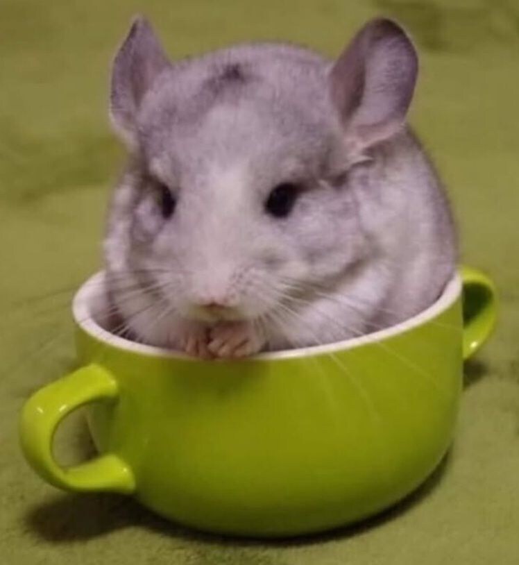 꽉찬 G컵 ㄷㄷㄷ_1.jpg
