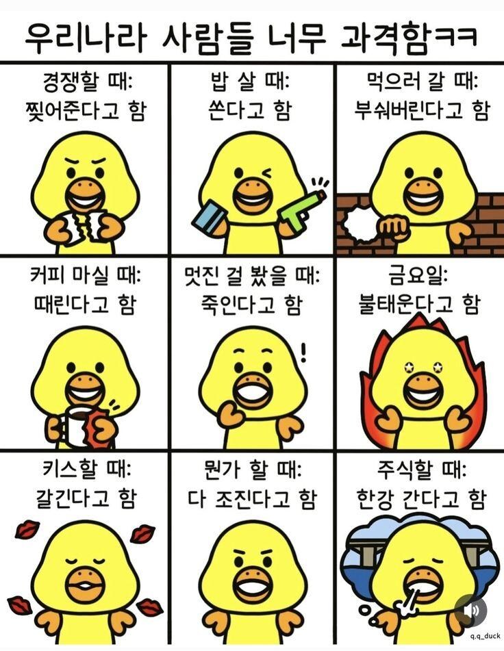 우리나라 사람들 표현이 너무 과격함_1.jpg