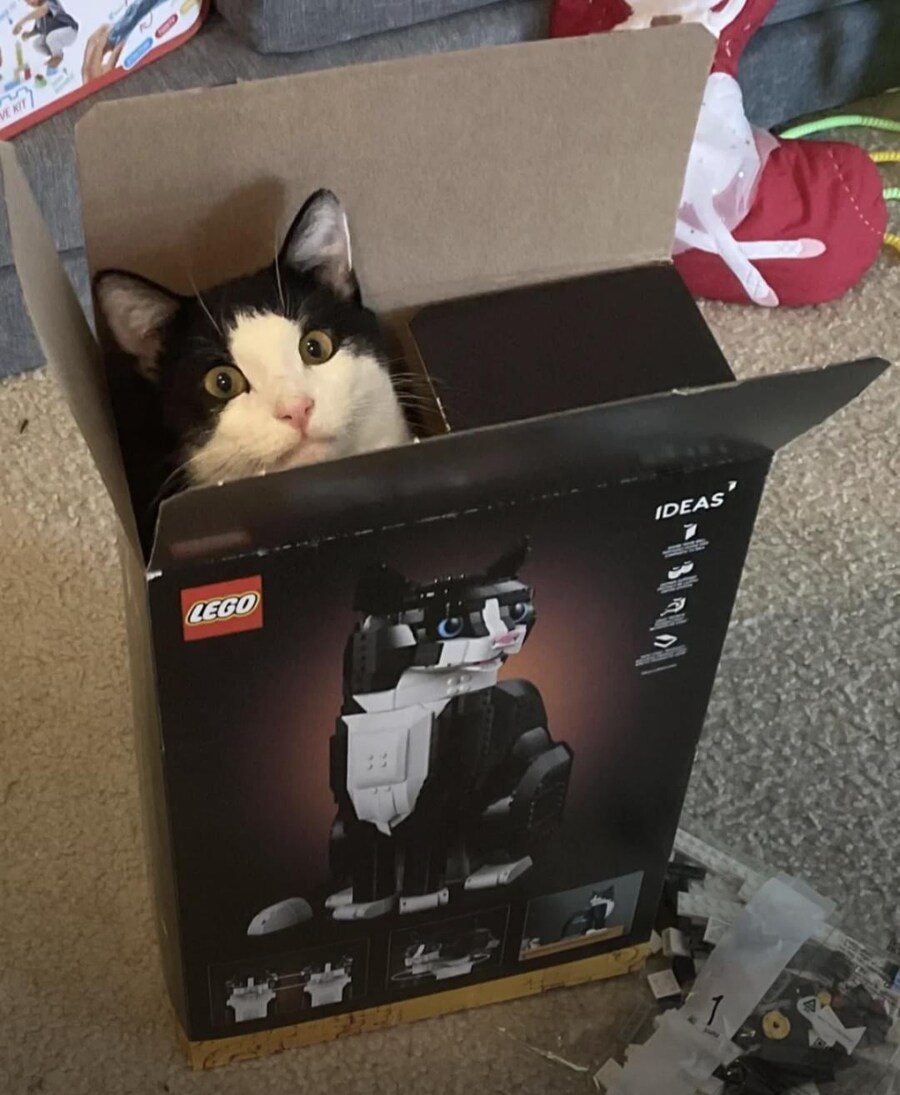 새로 나온 고양이 레고_1.jpg