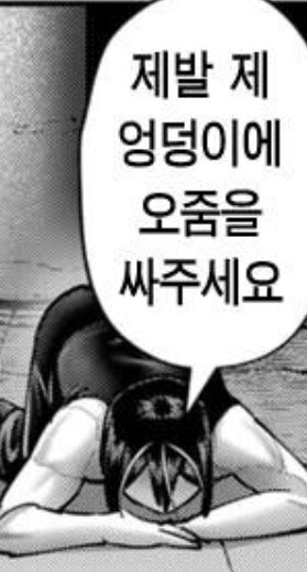 은근 사람들이 좋아하는 시츄_1.jpg