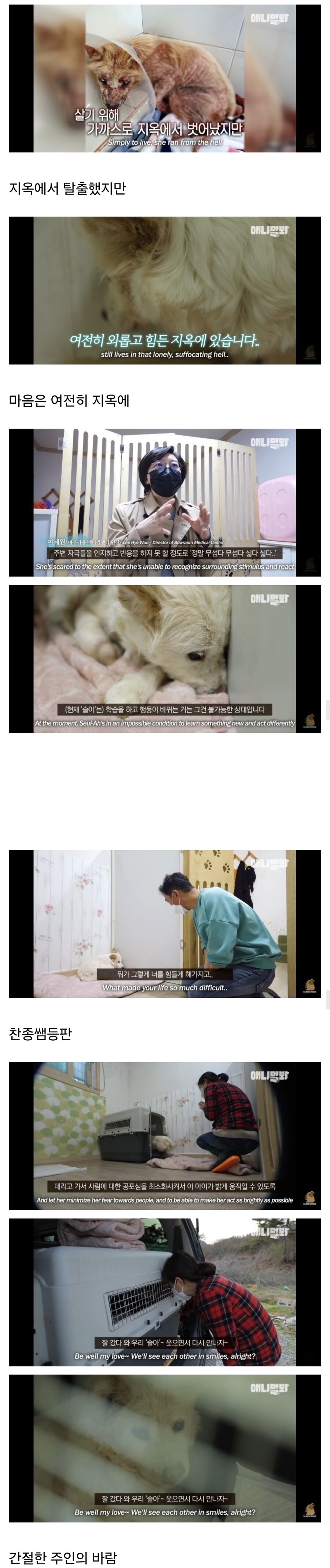 죽을 것 같은 우울증에 걸린 강아지.jpg_4.jpg