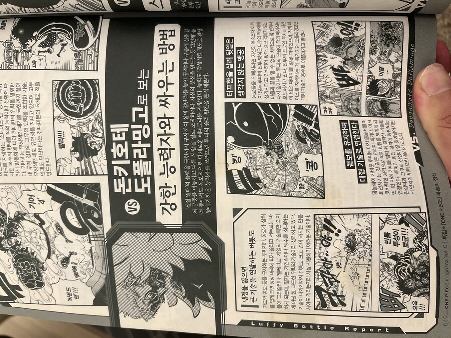 원피스 틀린말은 아닌데 웃긴 공식 설명_1.jpg