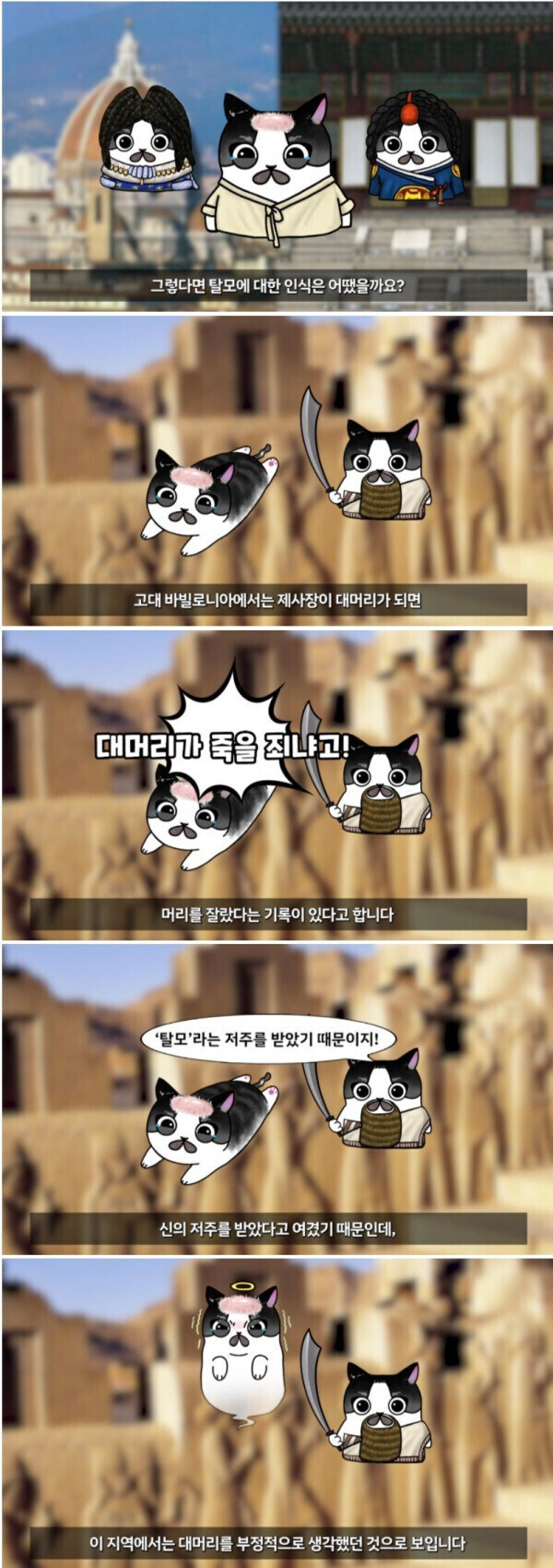 고대 국가의 대머리 취급_1.jpg