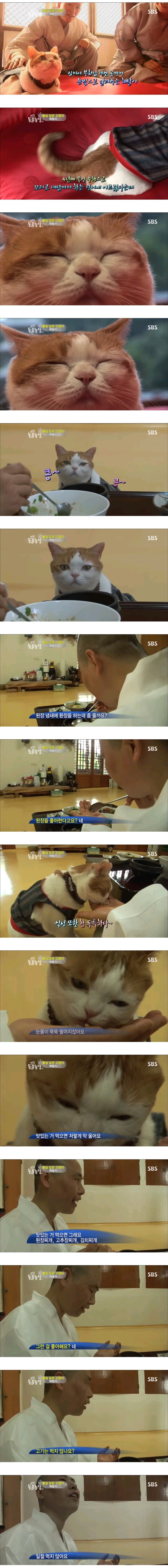 불심 깊은 고양이 해탈이_2.jpg