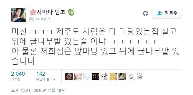 제주도민과 귤에 대한 편견.jpg_1.jpg