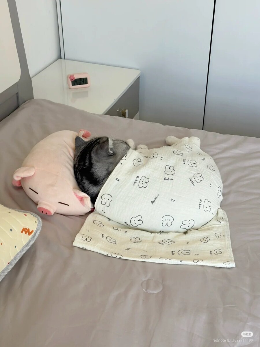 고양이: 응애에요 _3.jpg