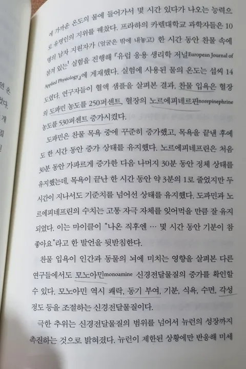 의외로 ㅁㅇ수준의 도파민을 만들어내는 행위_2.webp