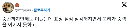 산책나온 강아지의 표정 변화.JPG_1.png