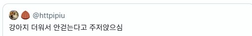 산책나온 강아지의 표정 변화.JPG_3.png