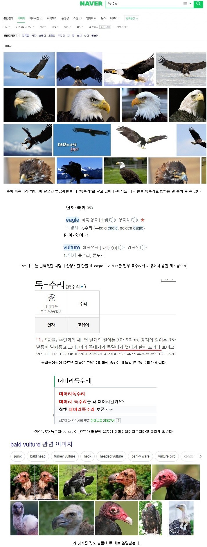 번역 실수로 놀림받는 조류.jpg_1.jpg