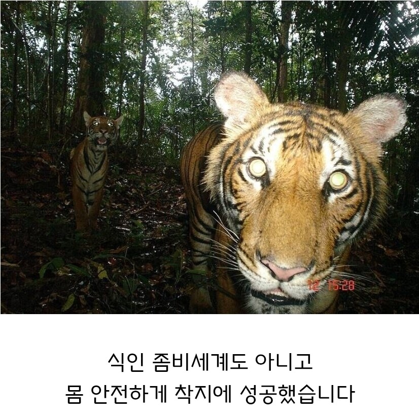 현대 한국인이 조선시대에 떨어지면 ㅈ되는 이유_1.jpg