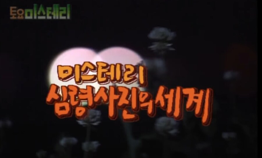 유튭 렉카 보다 더했던 새끼들 jpg._1.jpg
