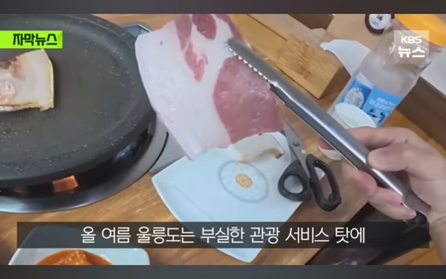 울릉도 관광사업 정말 심각한 상황.jpg_1.jpg