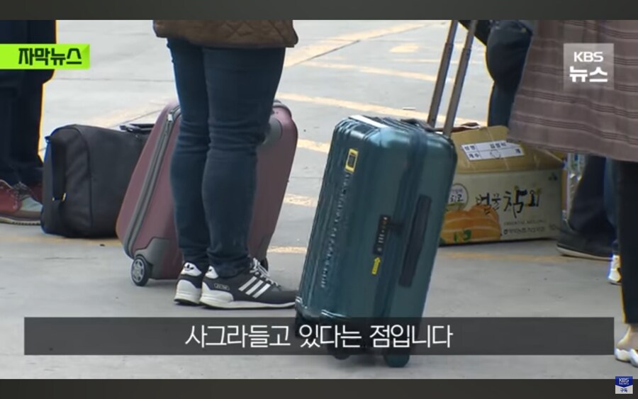 울릉도 관광사업 정말 심각한 상황.jpg_10.jpg