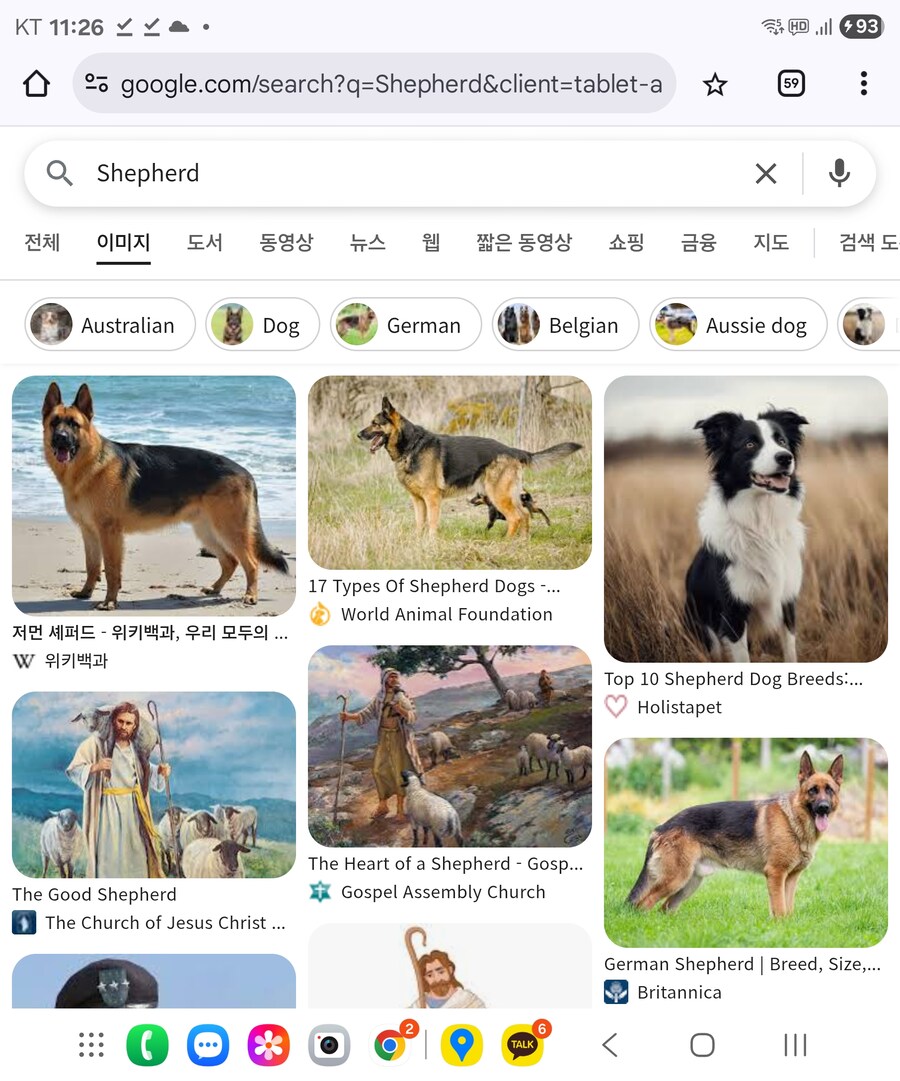 알고보면 풀내임으로 불러야 하는 멍멍이_2.jpg
