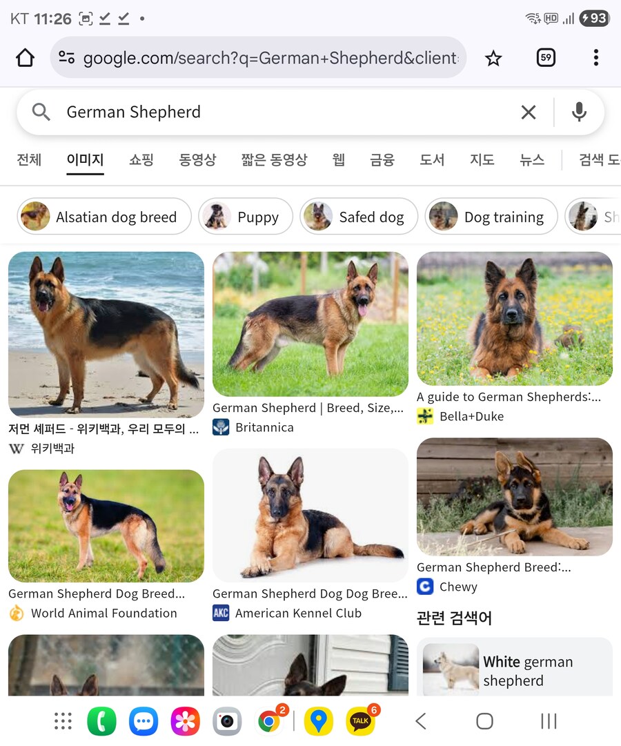 알고보면 풀내임으로 불러야 하는 멍멍이_3.jpg
