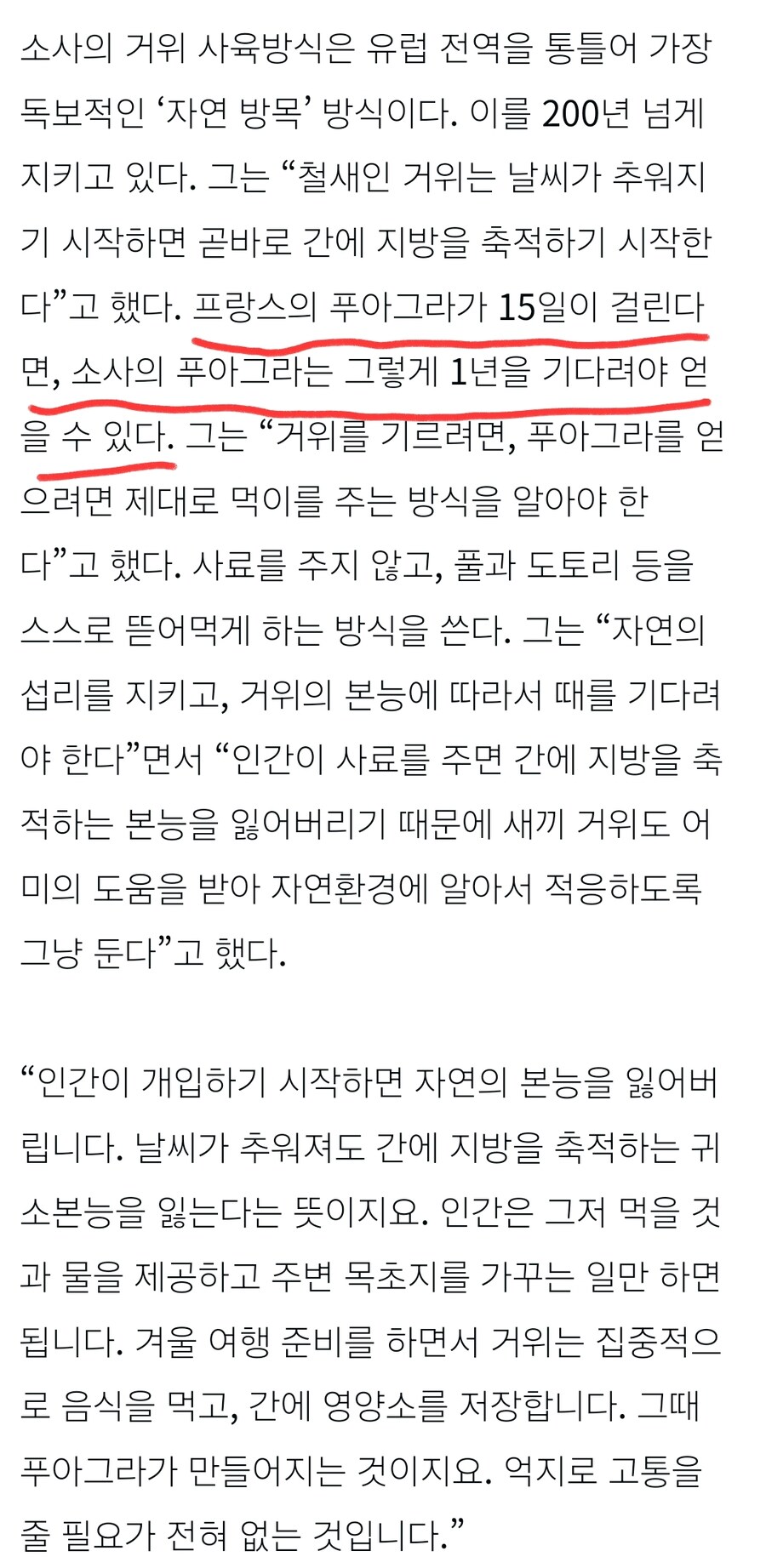 전 세계의 모든 푸아그라 중에서 가장 비싼 푸아그라.jpg_2.jpg