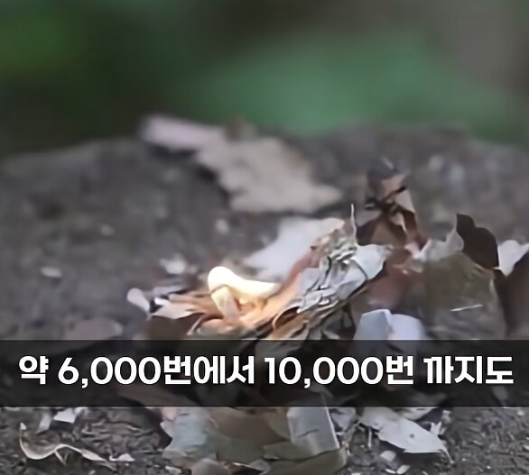 생존 아이템에 파이어 스틱이 있는 이유.JPG_2.png