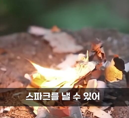 생존 아이템에 파이어 스틱이 있는 이유.JPG_3.png