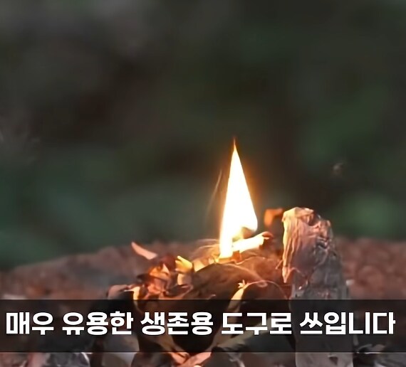 생존 아이템에 파이어 스틱이 있는 이유.JPG_7.png