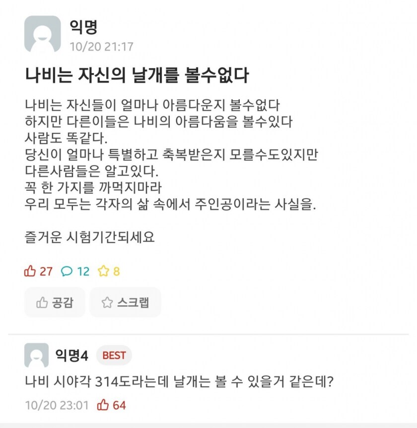 나비는 자신의 날개를 볼 수 없다_1.png