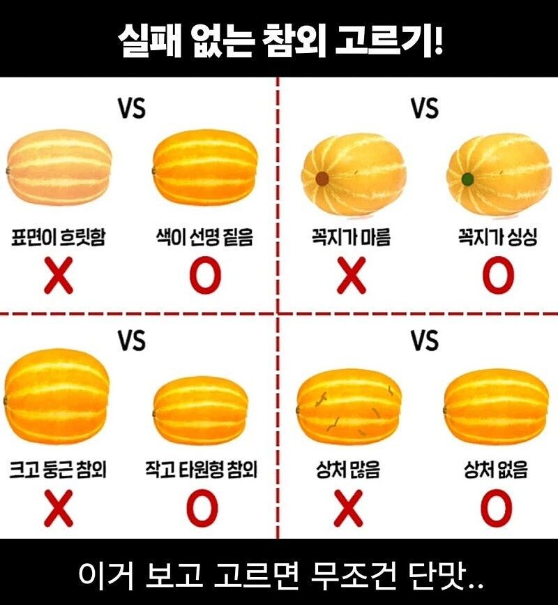 참외,수박 고르는 방법.jpg_1.jpg